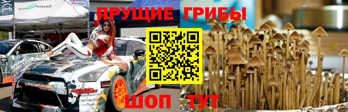 Псилоцибиновые грибы GOLDEN TEACHER Реутов